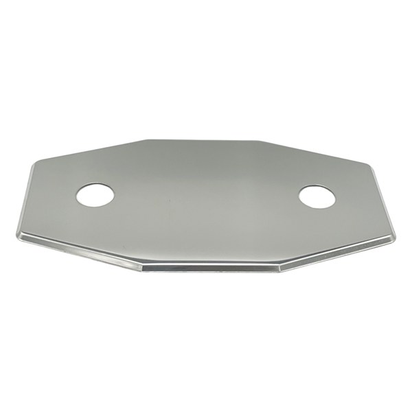 2-HOLE Stainless Steel Shower Cover Plate 0623552