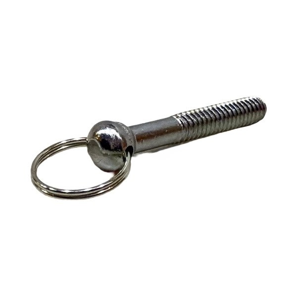 Chrome-Plated Face Plate Screws With Ring 0627004