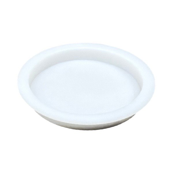 2 PVC Test Cap 1836004