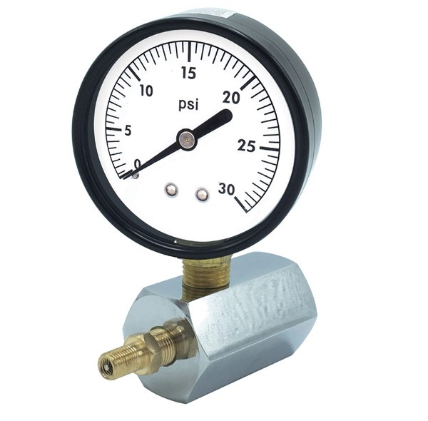 2" Gas Test Kit- 30 PSI 1838104