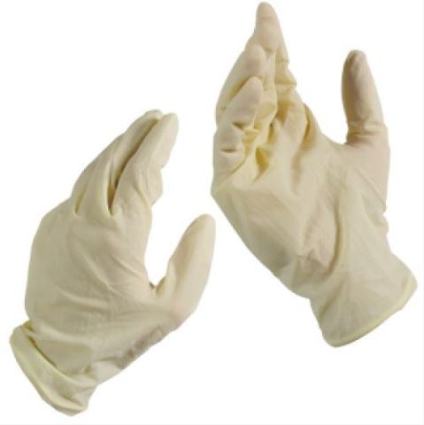White Vinyl Gloves (XL) (100 Per box) 1839049