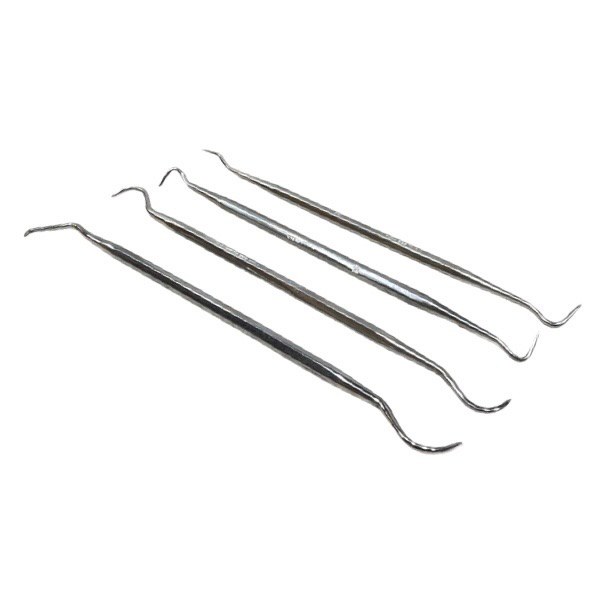 4 Piece Dental Pick Set 1845004