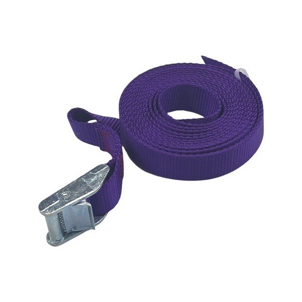 1" x 12' Cam Strap - Purple 1846512