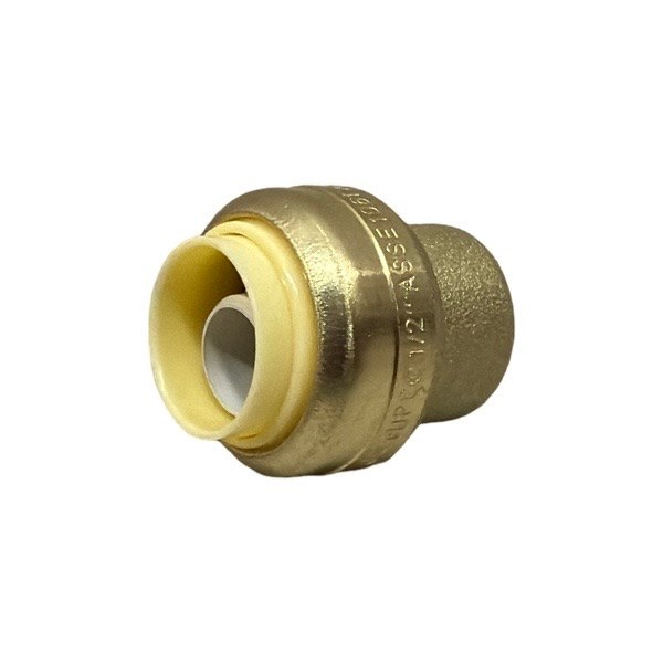 1/2" EZ-Bite Push-Fit Cap 2012060