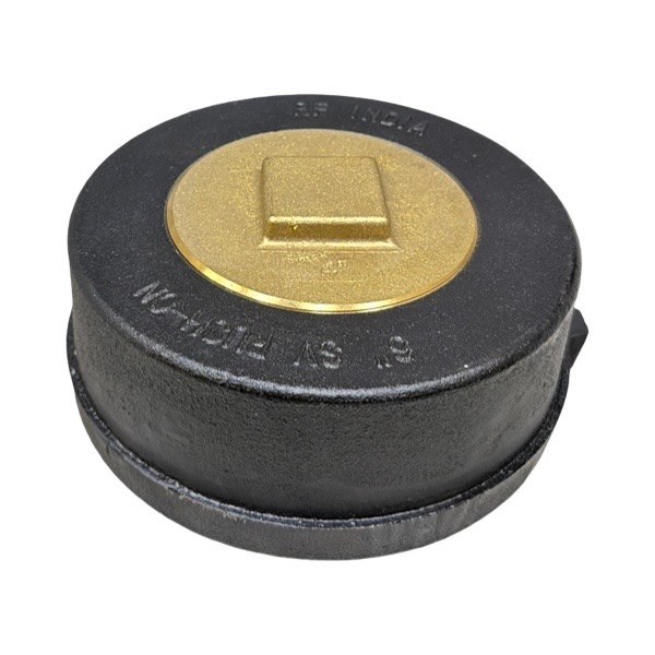 6" Push-On Cleanout Less Gasket (Service Weight) with Raised Head Plug 2423106