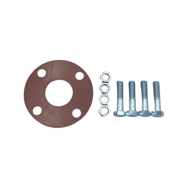 2" Full-Face Gasket Kit with Bolts & Nuts - Rubber 2739402
