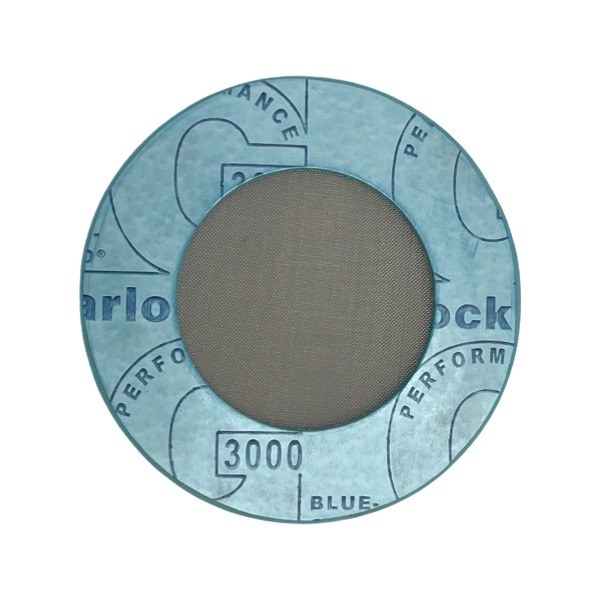 2" Garlock 3000 Ring Gasket Strainer 2745002