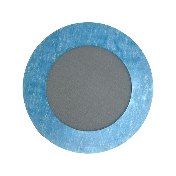 4" Garlock 3000 Ring Gasket Strainer 2745006